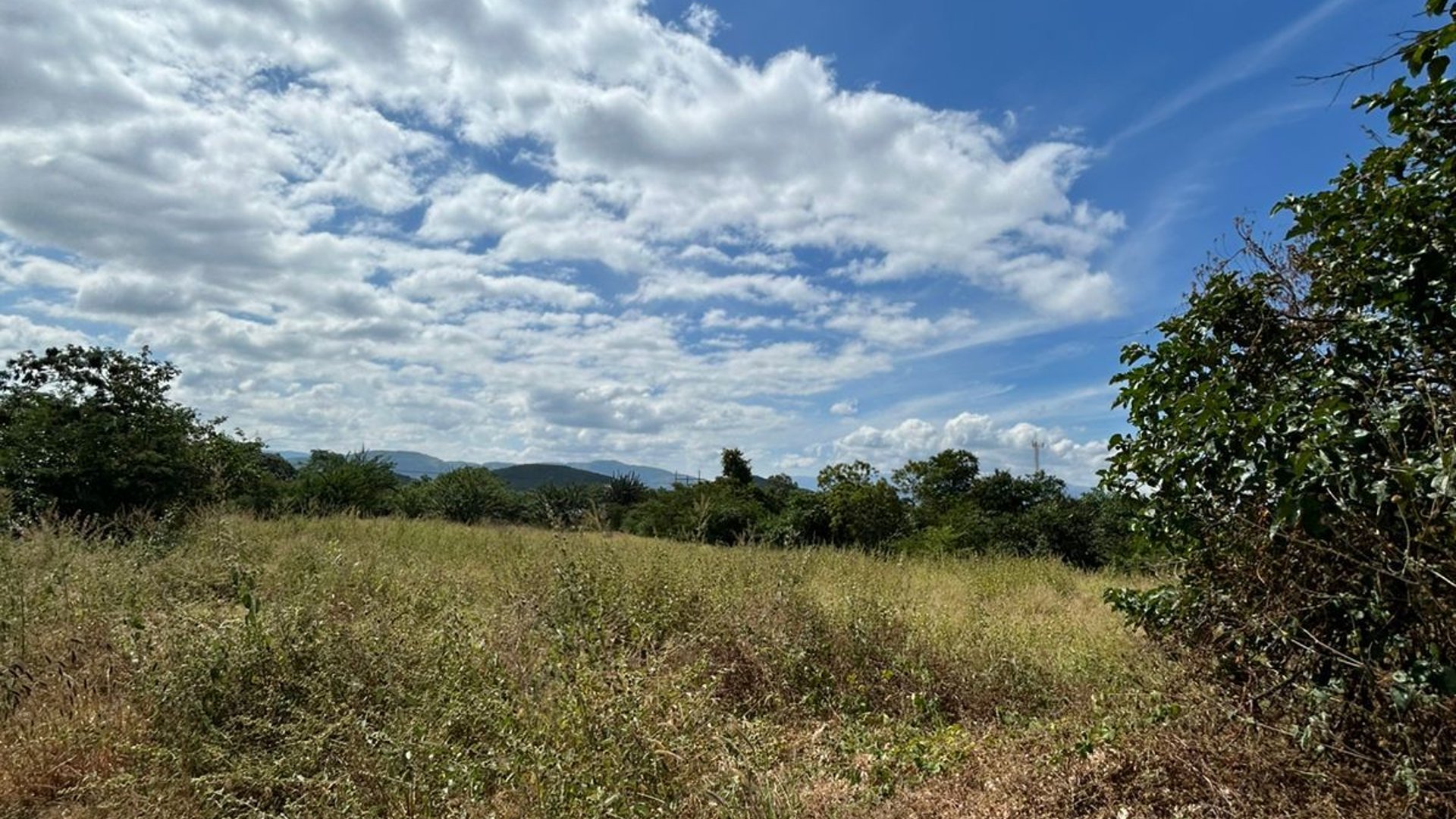 Terreno en Alquiler / Venta Ruta al Atlántico, Km. 116  - Miniatura 3