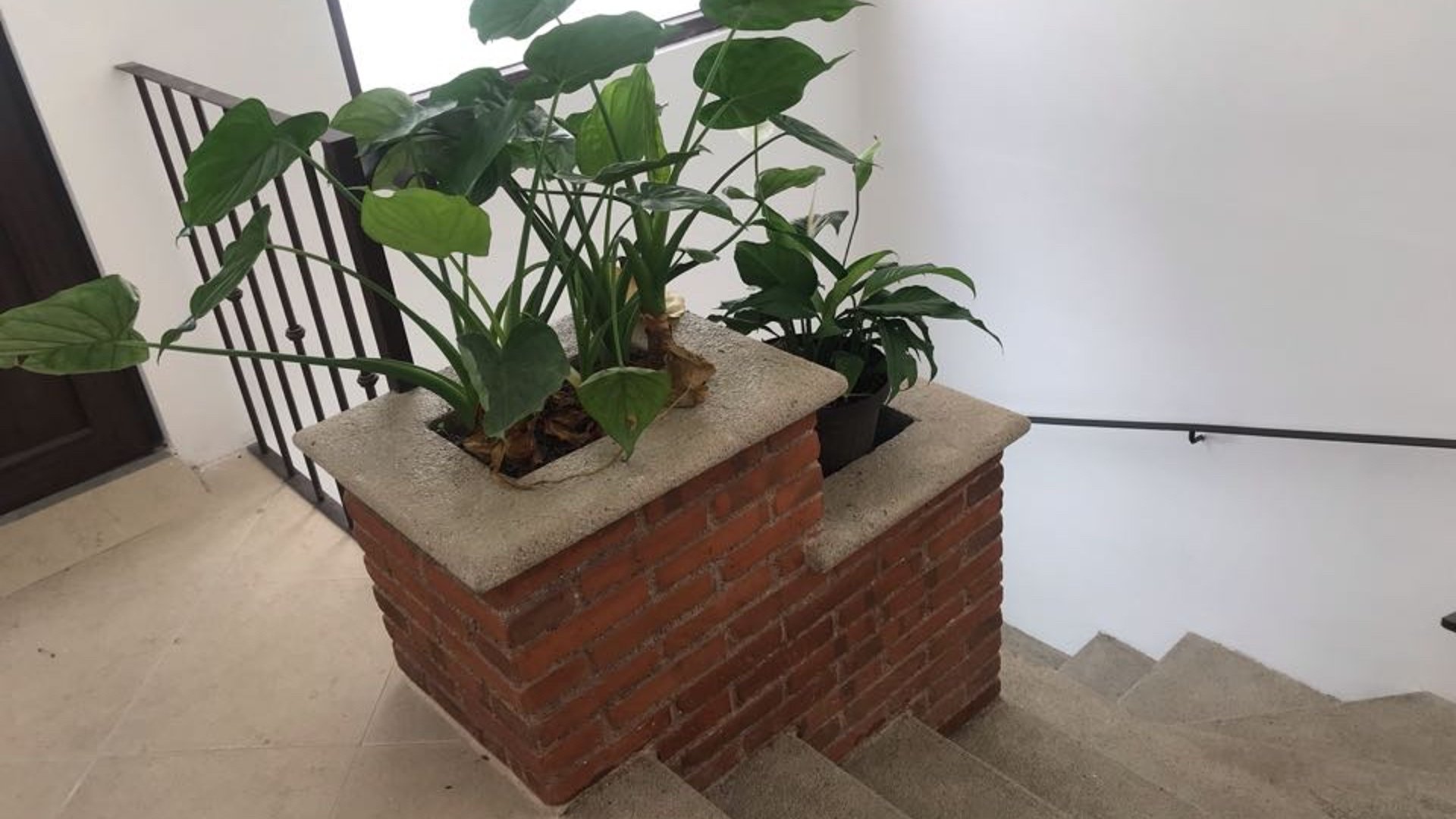 Casa en Venta, Casa Encantada, Antigua Gardens, C. Vieja, Sac, - Miniatura 12