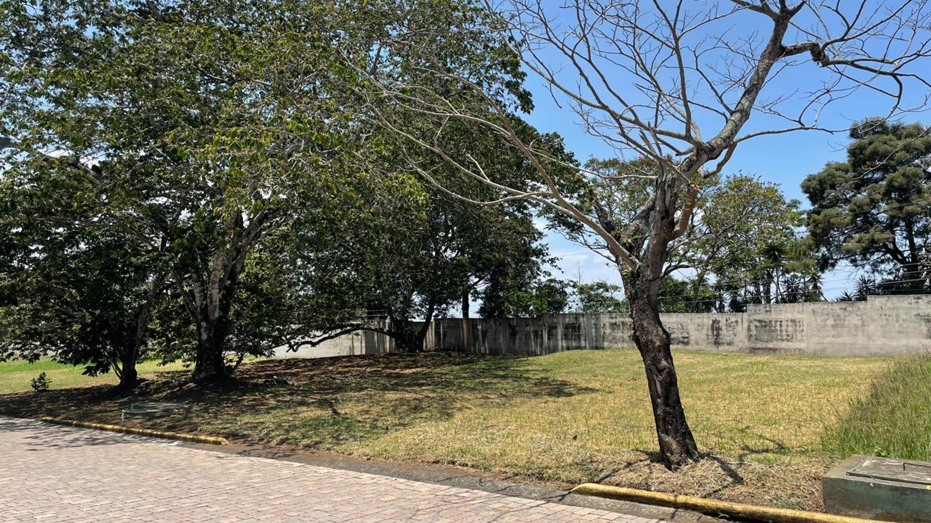 ???? TERRENO EN VENTA  | SAN MARTÍN DE ALLENDE | KM. 29.5 FRAIJANES - Miniatura 2