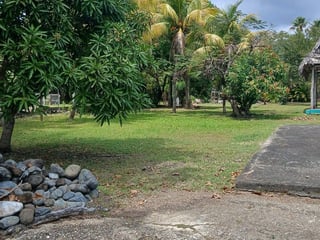 Finca en Venta – Área Río Dulce / El Estor - 4