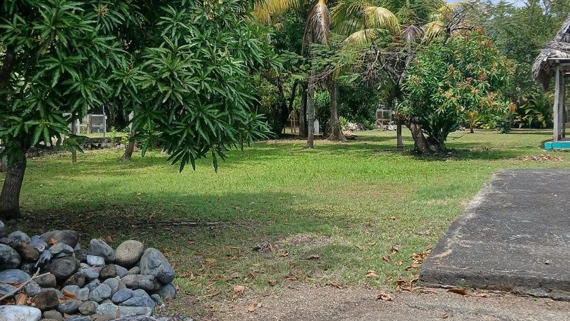 Finca en Venta – Área Río Dulce / El Estor - Miniatura 4