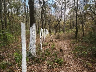 Terreno en venta, El Encinal  - 4