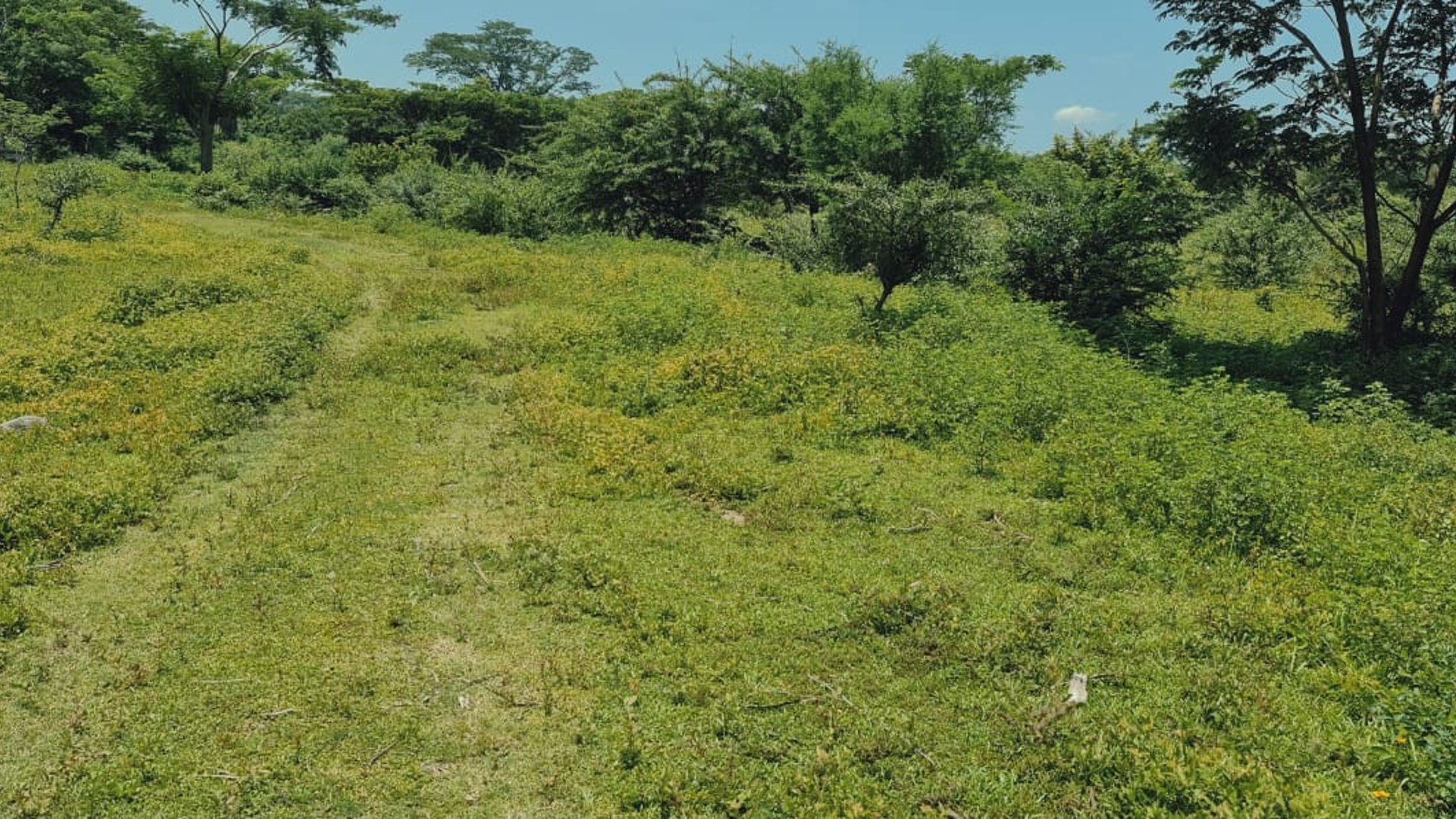 Finca de 113 Manzanas en venta Autopista Puerto Quetzal - Miniatura 2