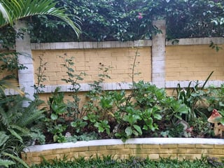 Casa en venta en Colonia Lourdes, Zona 16 - Image 4