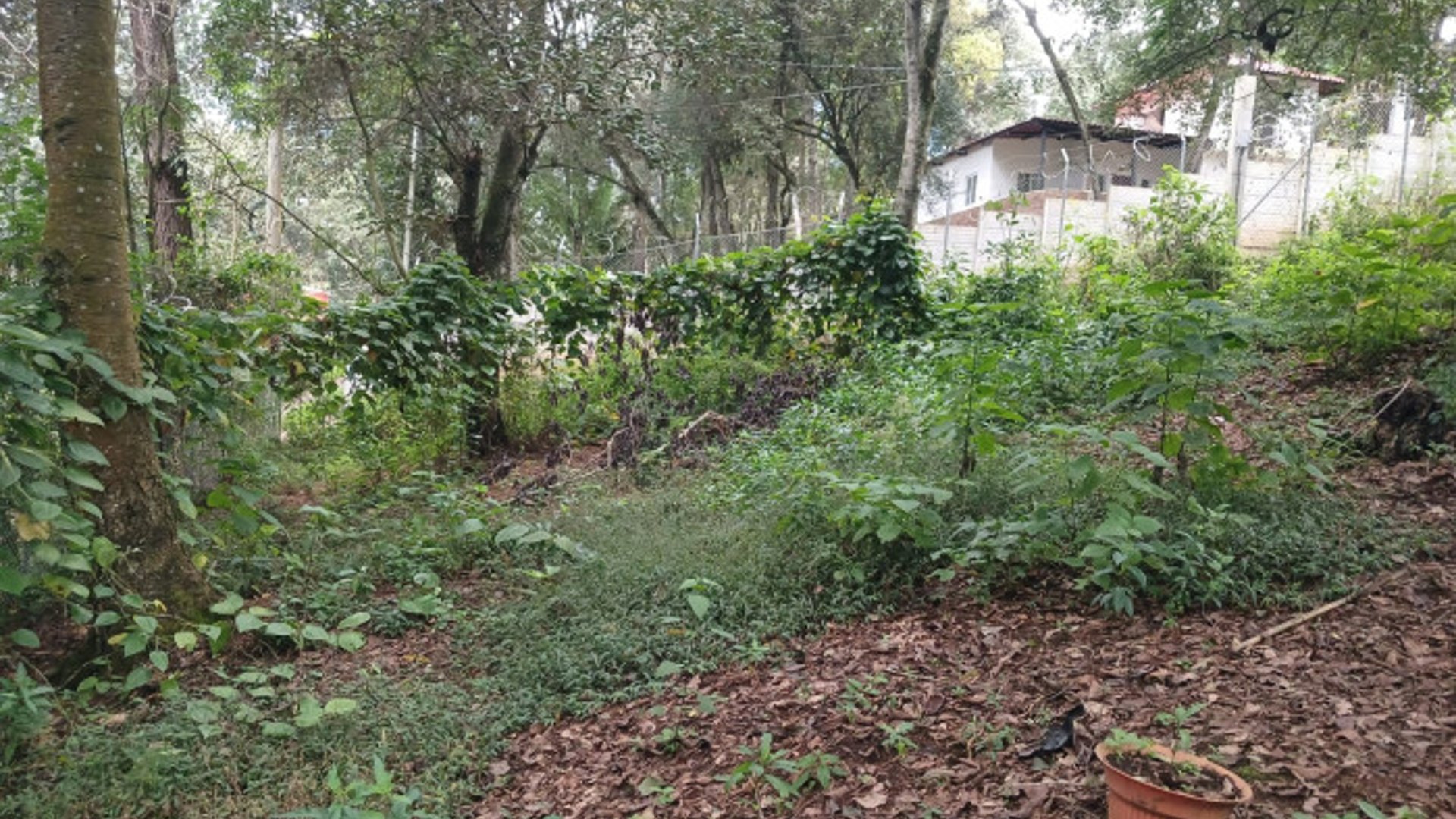 TERRENO EN VENTA EN SAN LUCAS SACATEPEQUEZ - Miniatura 13