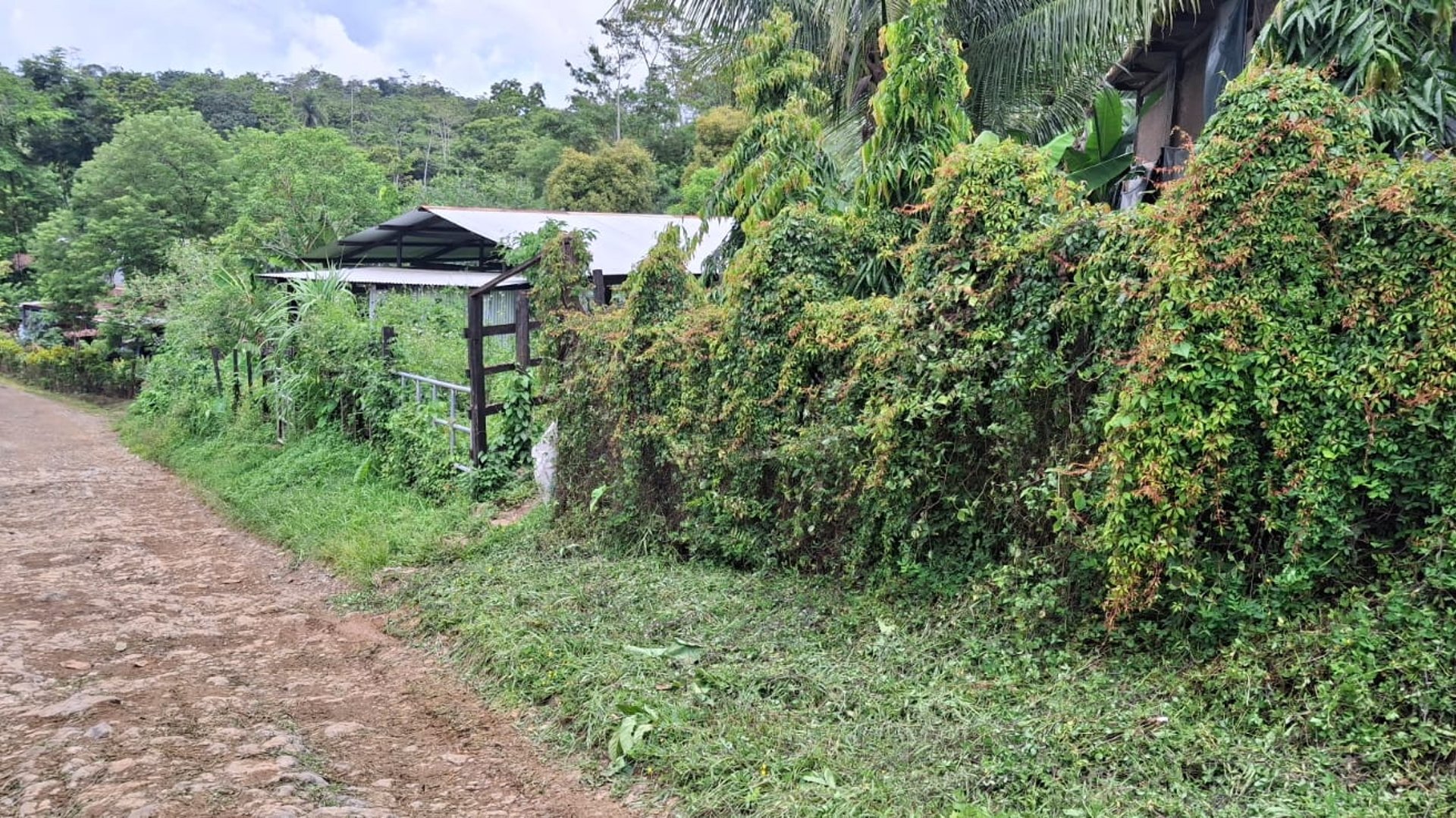 Granja en Venta en Cobán, Alta Verapaz  - Miniatura 5