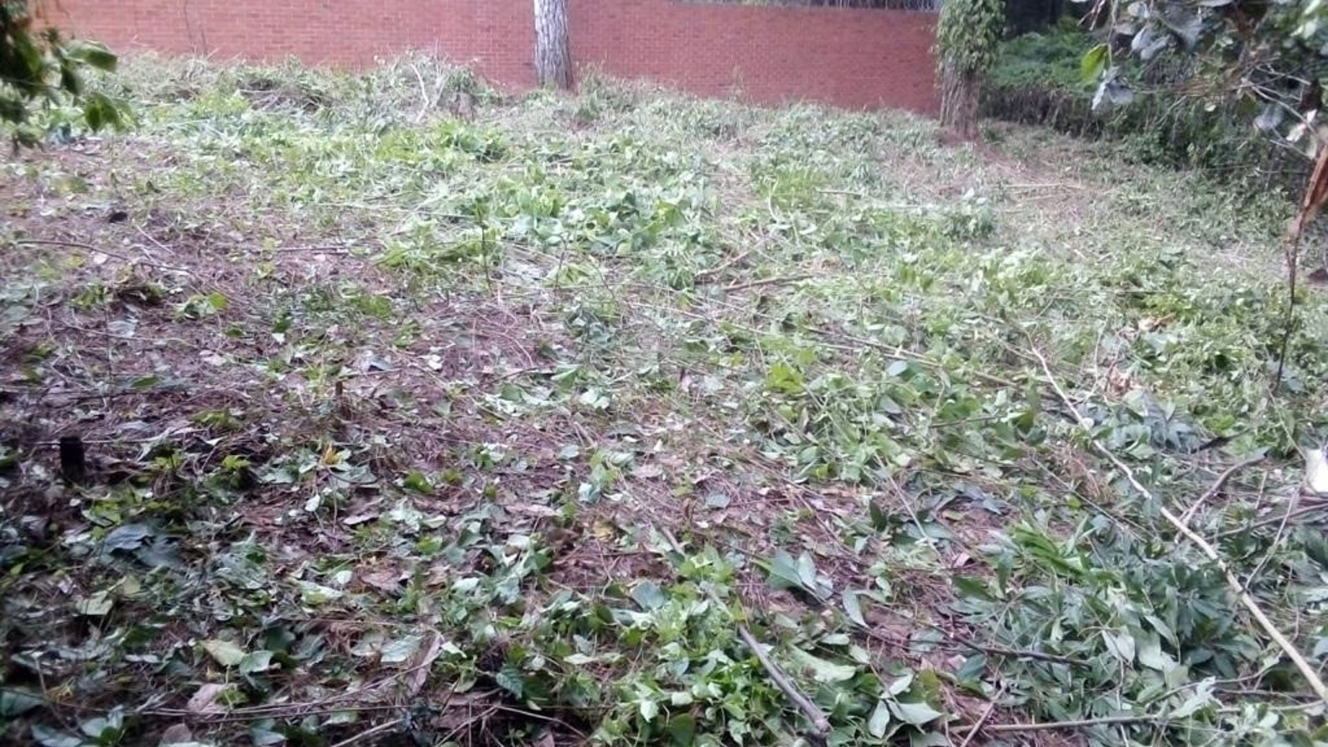Terreno en Venta en Condominio Labor de Castilla, Mixco