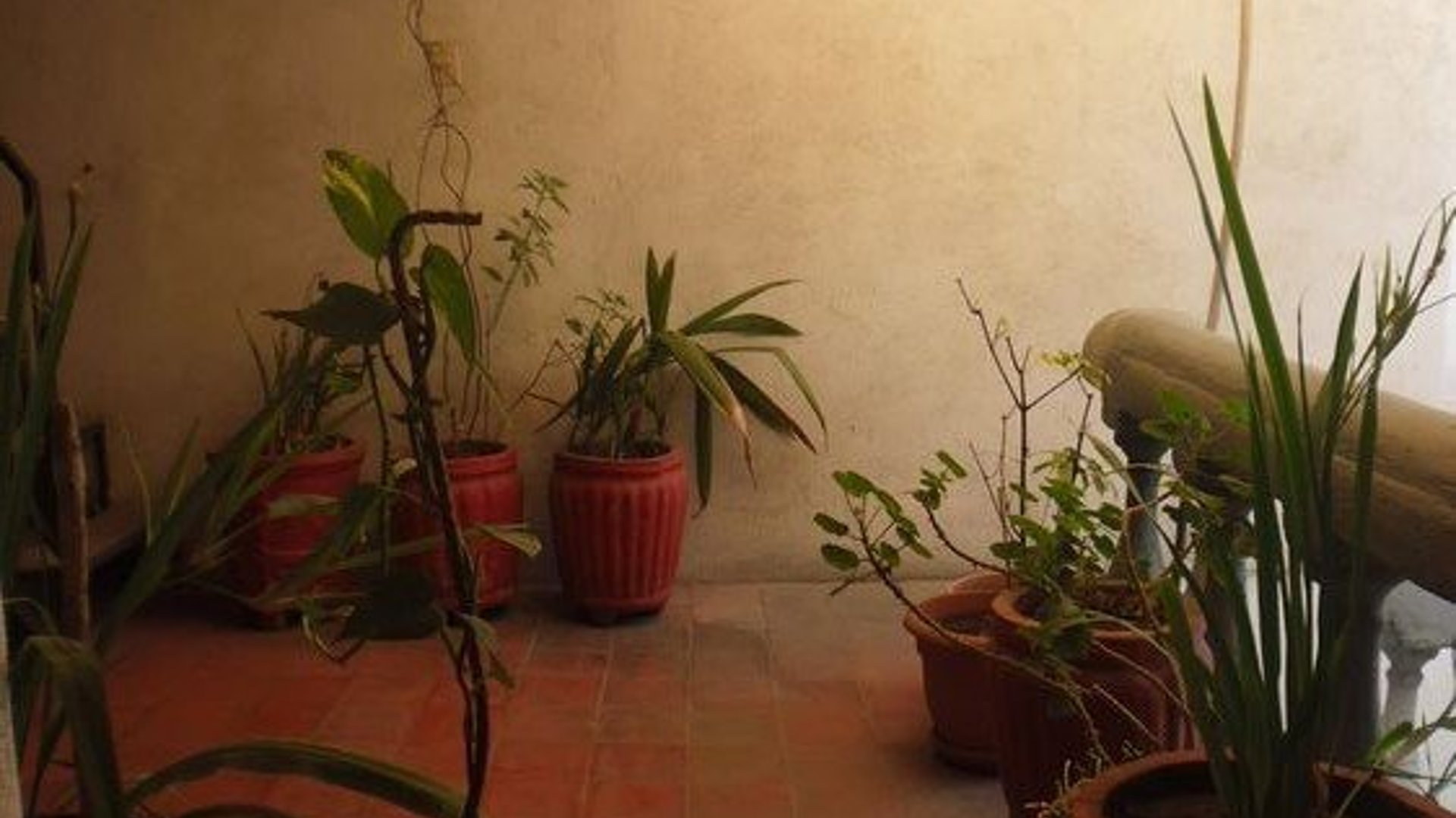 Hotel de 13 habs en venta en casco de Antigua! - Miniatura 7