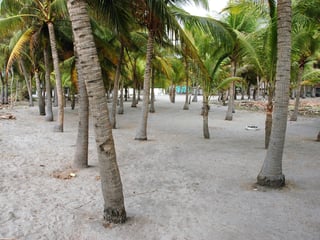 Land for Sale in Tulate, Guatemala - 7185 m² - $199,000 - Image 15