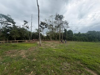 Terreno en venta en Rio Ciénega, Livingston - 4