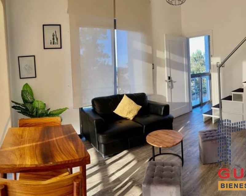 Apartamento en Renta, Zona 15 (R9646)