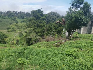 Terreno en Venta Carretera a El Salvador, Km.26 - 4
