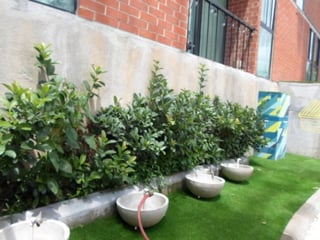 Apartamento en Venta en Zona 11 Colonia Mariscal - Image 16