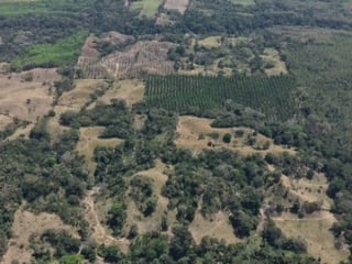 Terreno en Venta Aldea Xayá, Santa Lucía Cotzumalguapa - 5