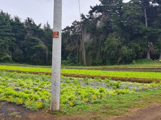 Propiedada en venta, Santo Tomas Milpas altas.  - 4