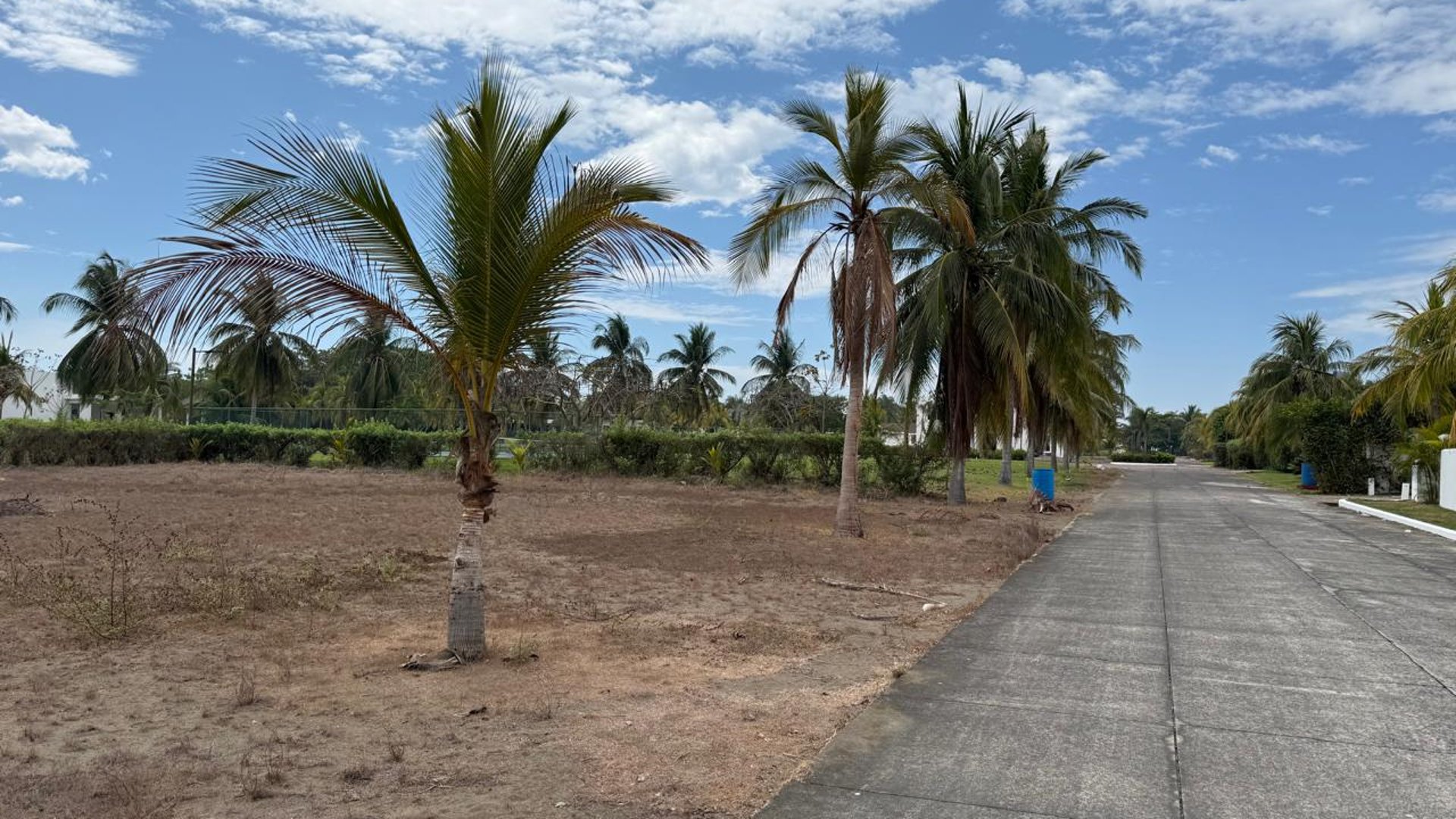TERRENOS EN VENTA EN CONDOMINIO PALMERAS DE MONTERRICO KM. 13.5 - Miniatura 3