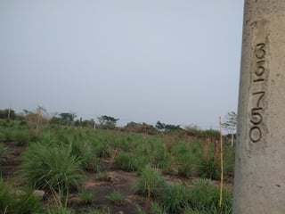 Terreno en Venta Quintas La Ponderosa, Escuintla - 2