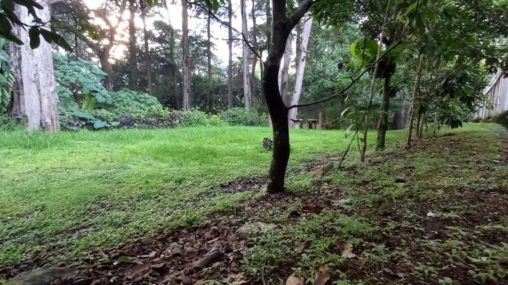 Terreno Rebajado en Santa Lucia Milpas Altas - Miniatura 8