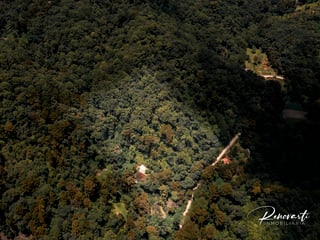 Vendo Terreno Natural Boscoso, Santiago Sacatepéquez - 5