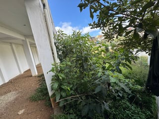 Terreno de esquina en Piedra Parada | Excelente ubicación cerca a 4 caminos - 4