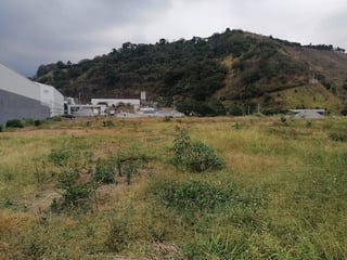Terreno en Venta en Palín, Escuintla | 39,304 m² | 100 Metros sobre CA-9 | Ideal - 4