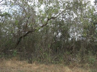 Terreno residencial en venta km. 23 Carr. al Salvador - 4