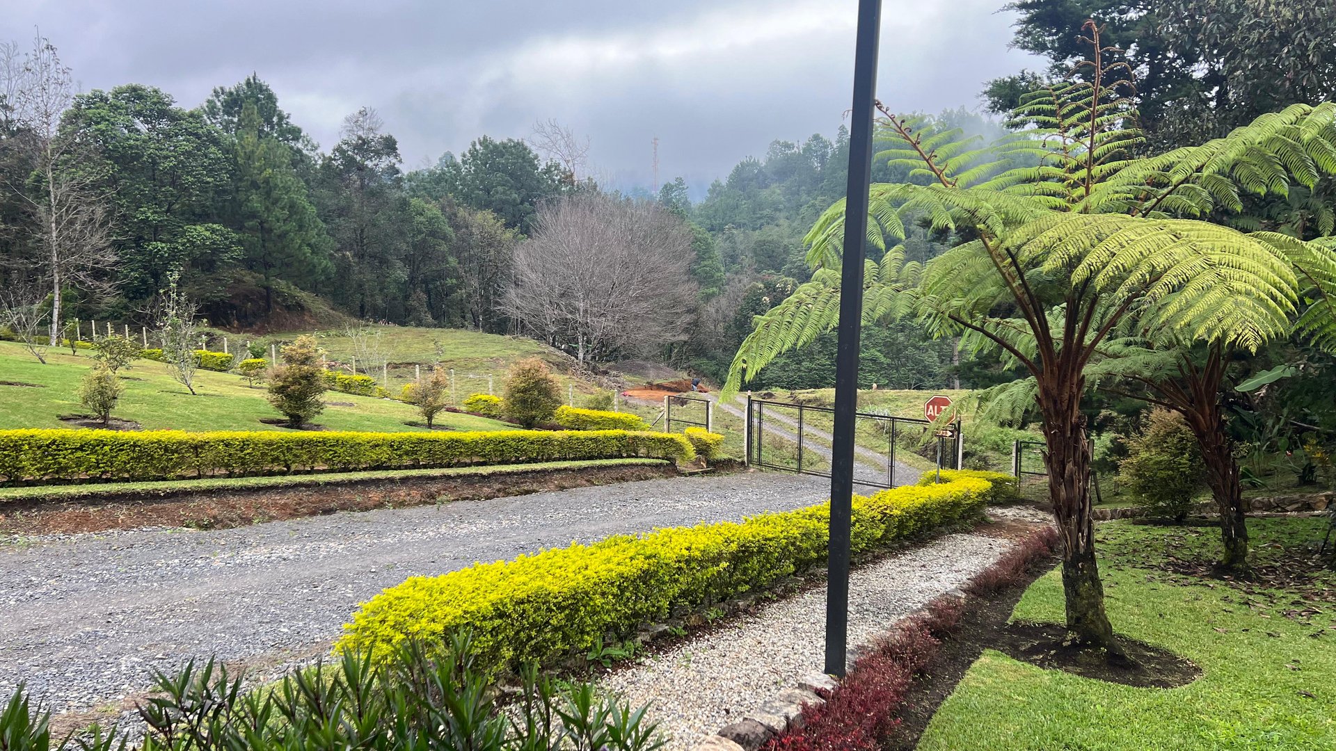 Finca comercial 26 manzanas en Venta en la Verapaces  - Miniatura 25