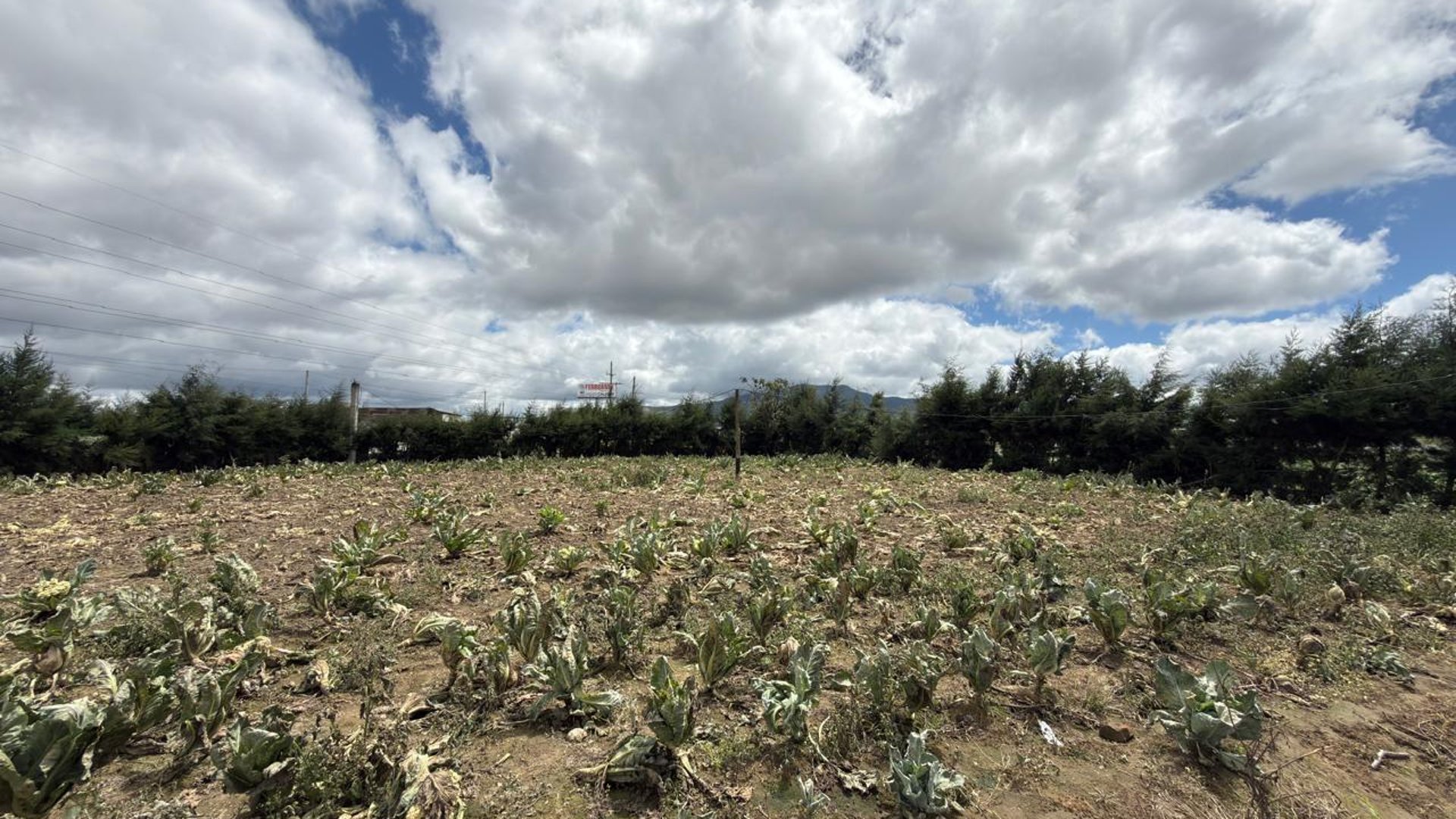 Terreno en renta en Km 72 Ruta Interamericana Patzicia, Chimaltenango - Miniatura 12