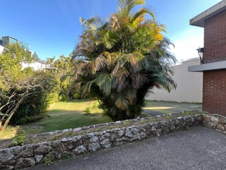 Casa en alquiler, Vista Hermosa 2 zona 15. - 3