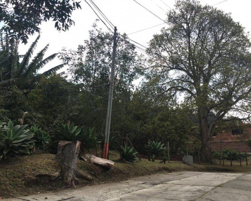 Terreno de 7338 mts2 en venta en Santa Rosalia