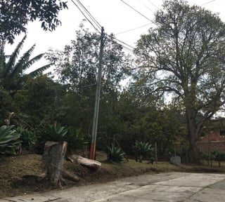 Terreno de 7338 mts2 en venta en Santa Rosalia