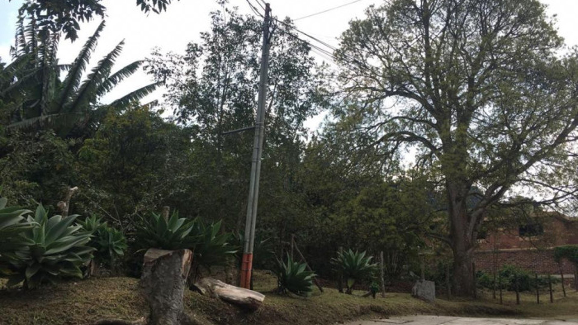 Terreno de 7338 mts2 en venta en Santa Rosalia
