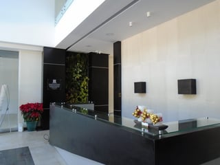 Oficinas en Renta Carretera al Salvador - 2