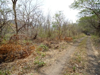 PROYECTO HIDROELECTRICO LA ANGOSTURA GUATEMALA-EL SALVADOR - 2