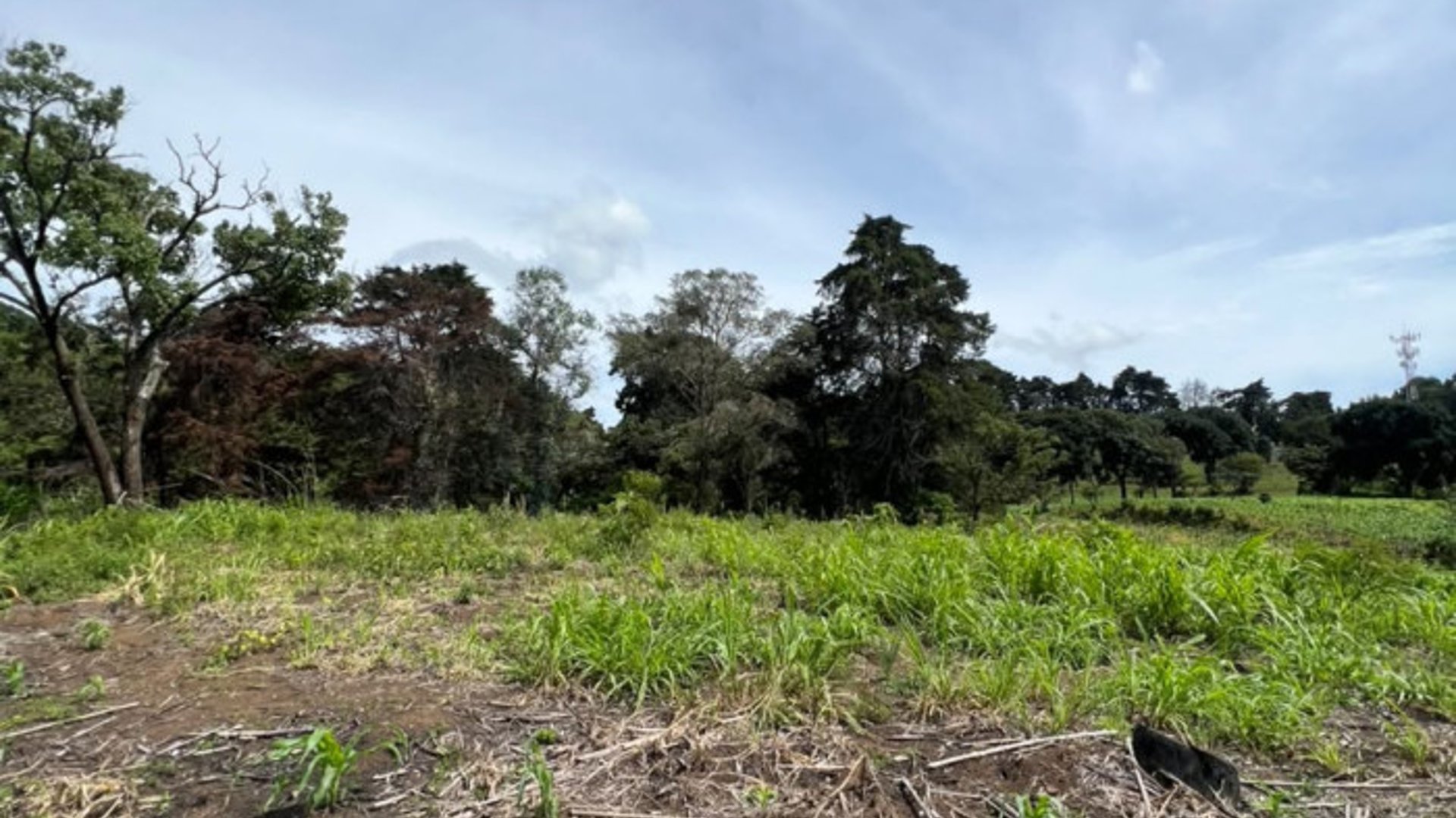 Terreno 12 Manzanas en Venta Carretera a El Salvador - Miniatura 8
