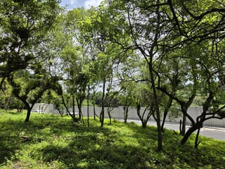 Terreno Venta Altos San Vicente Sta. Catarina Pinula - 5