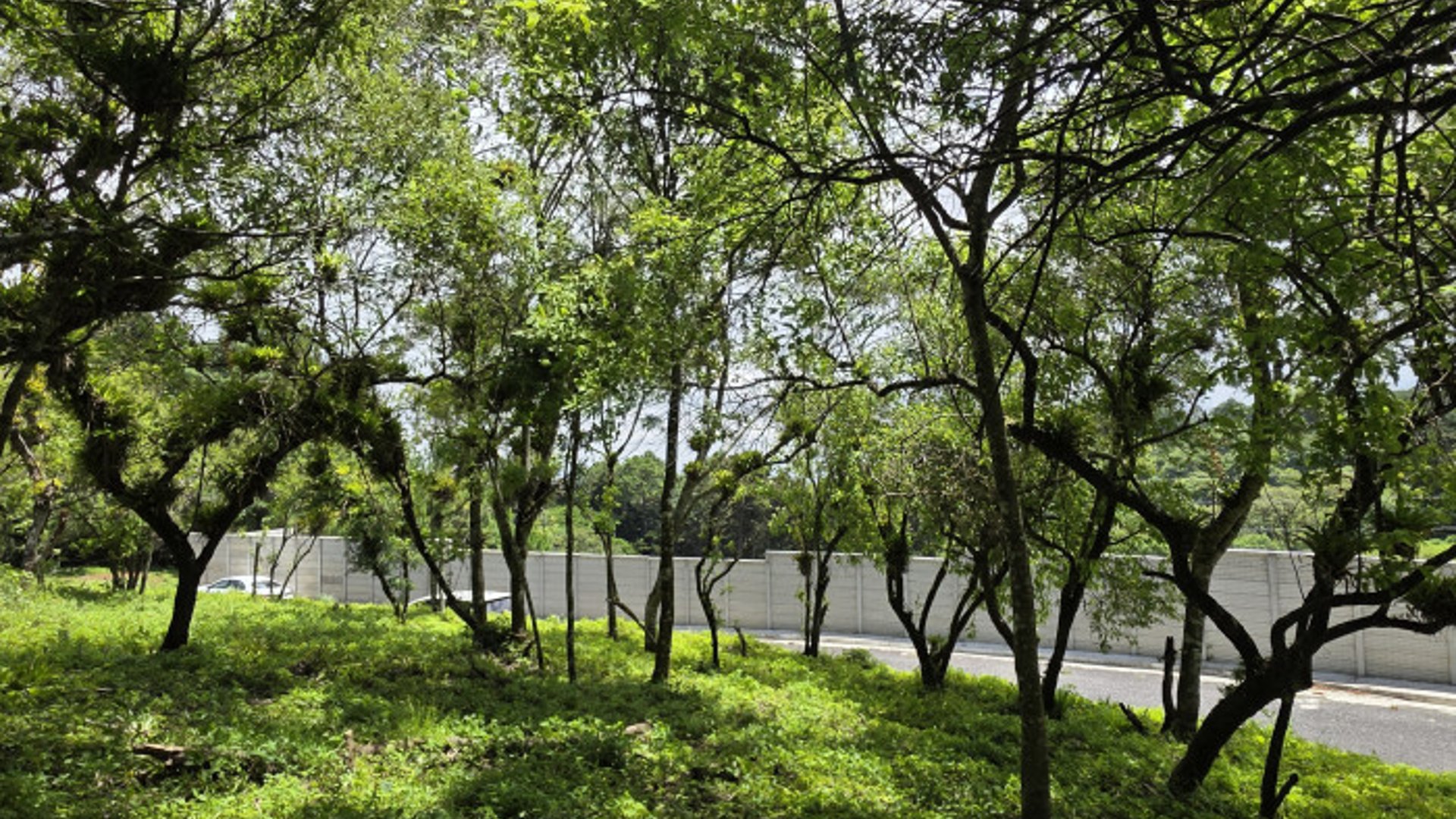 Terreno Venta Altos San Vicente Sta. Catarina Pinula - Miniatura 5