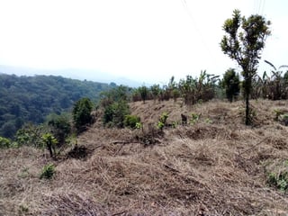 Terreno en Carretera al Salvador km 26 Sta. Elena - 3