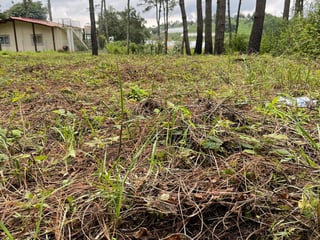 Venta de Terreno Rustico - Hacienda Las Llanuras Km 43 Sumpango - 4