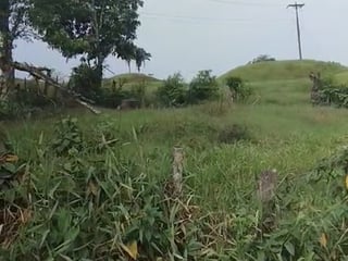 Finca en Puerto Barrios Izabal - 5