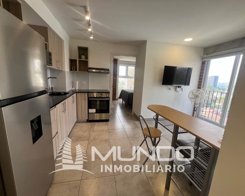 APARTAMENTO AMUEBLADO EN RENTA ZONA 10