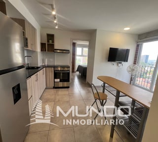 APARTAMENTO AMUEBLADO EN RENTA ZONA 10