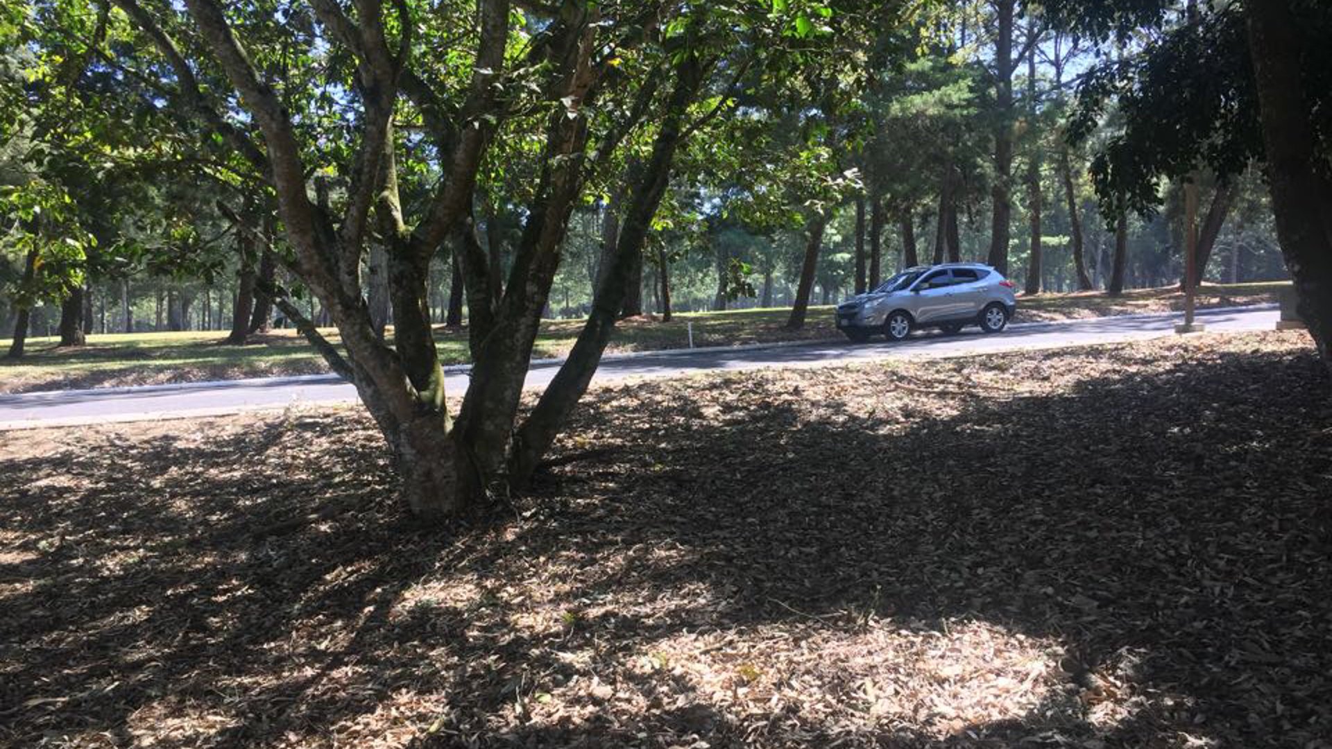 Vendo Terreno en Hacienda Nueva - Miniatura 9