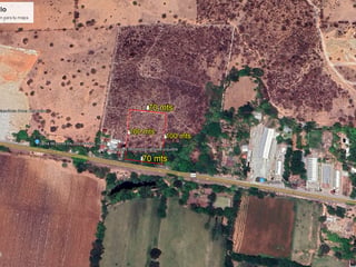 Terreno de 1 Manzana en Venta en KM 117 Teculután, Zacapa Ref-6016 - 2