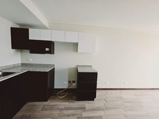 Apartamento en Venta y Renta en San Nicolas del Bosque - 3