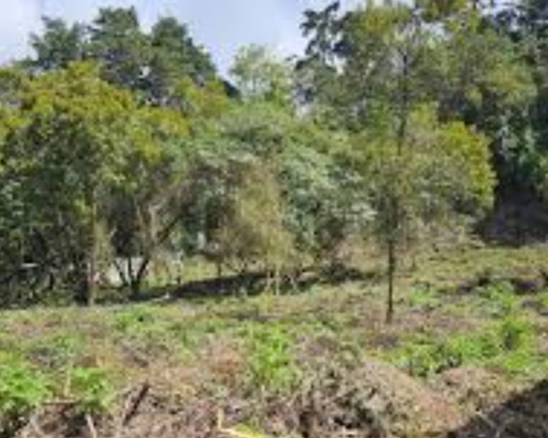 Terreno en Venta en Santa Catarina Pinula - CAES