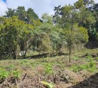 Terreno en Venta en Santa Catarina Pinula - CAES