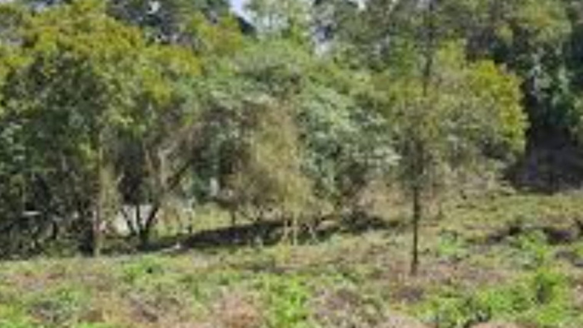Terreno en Venta en Santa Catarina Pinula - CAES