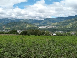 Terreno en venta, Ciudad Vieja - 3