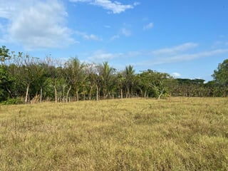 Terreno comercial en venta Monterrico - 2